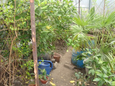 DSC02102.JPG