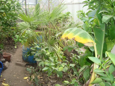 DSC02103.JPG