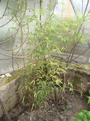DSC02112.JPG